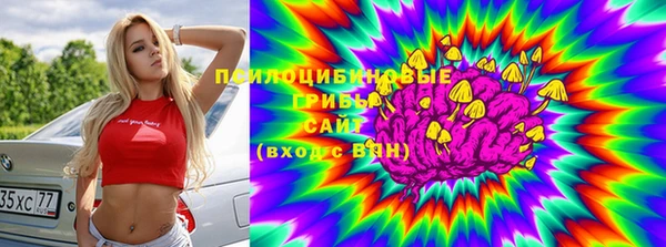 mdpv Алзамай