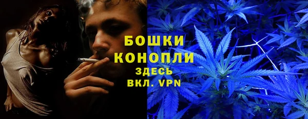 СК Алексеевка