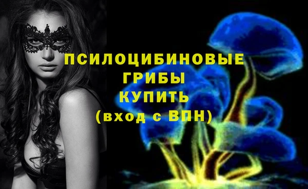 СК Алексеевка