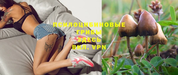 амфетамин Алексин