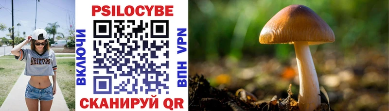 Псилоцибиновые грибы Psilocybine cubensis  наркошоп  Кириши 